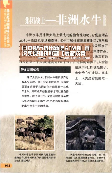 爱游戏直播
