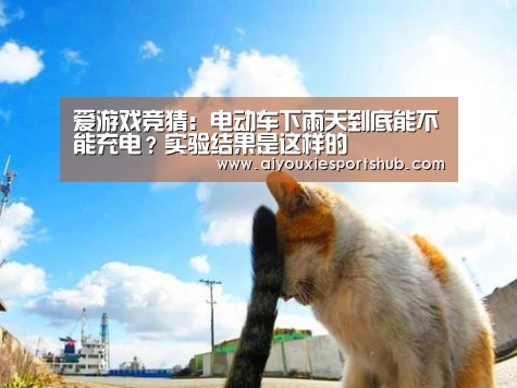 爱游戏视讯