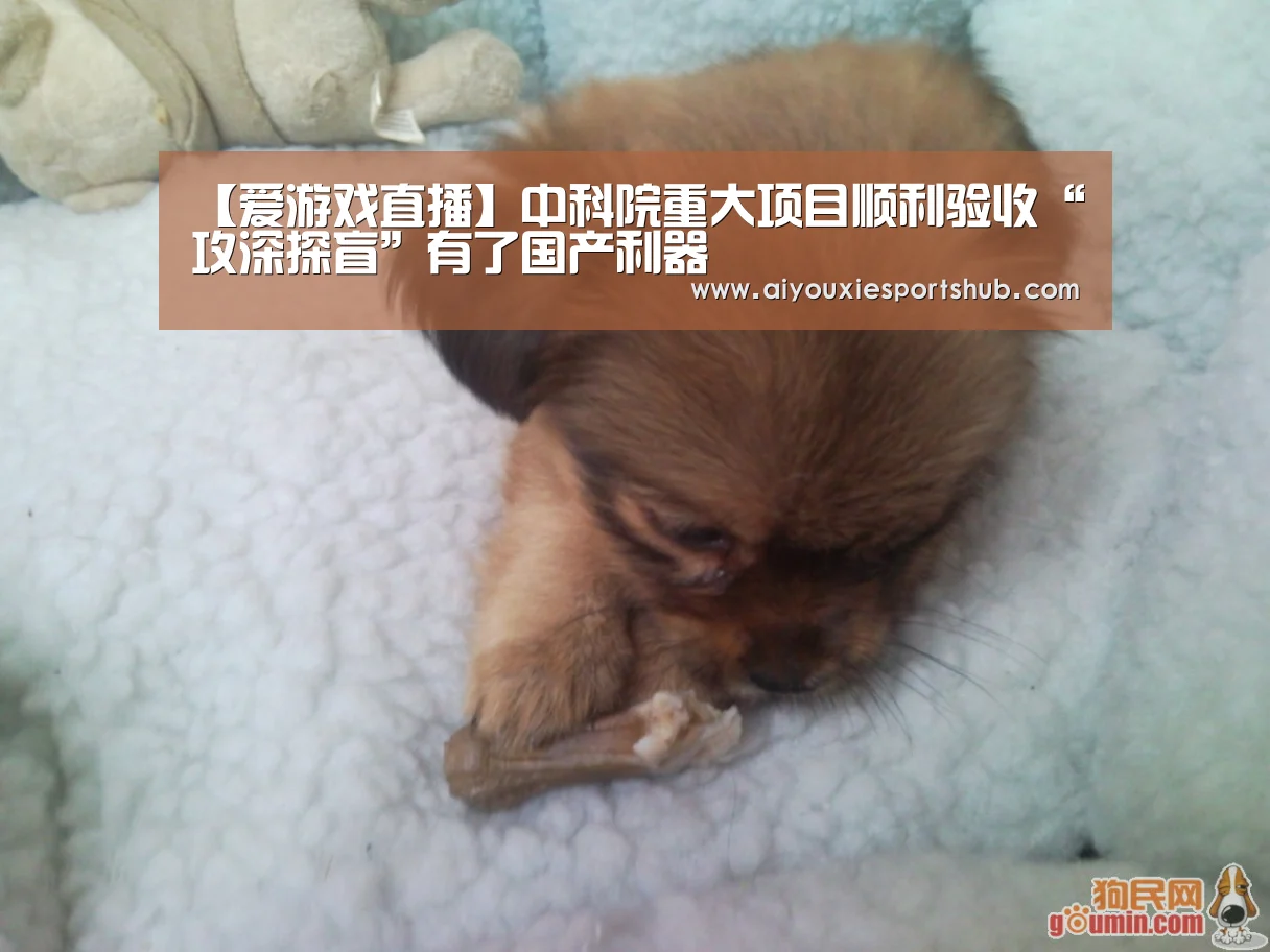 【爱游戏直播】中科院重大项目顺利验收“攻深探盲”有了国产利器(图1) 爱游戏体育