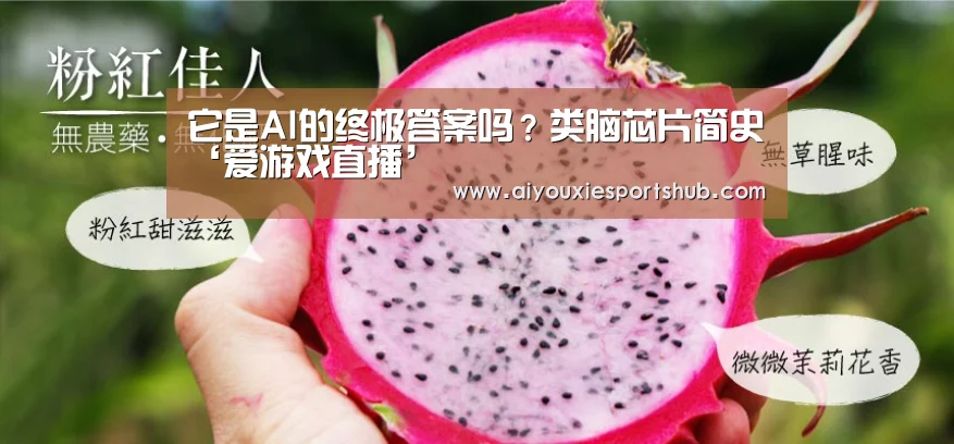 它是AI的终极答案吗?类脑芯片简史‘爱游戏直播’(图1) 爱游戏直播