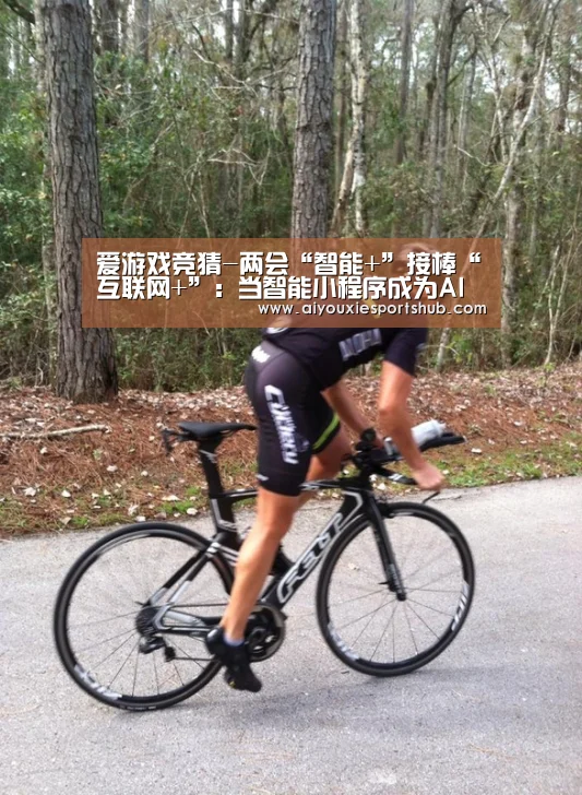 爱游戏竞猜-两会“智能+”接棒“互联网+”:当智能小程序成为AI的起跳板(图2) 爱游戏视讯
