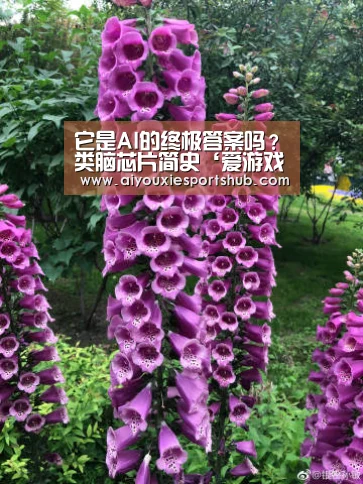 它是AI的终极答案吗?类脑芯片简史‘爱游戏直播’(图2) 爱游戏直播