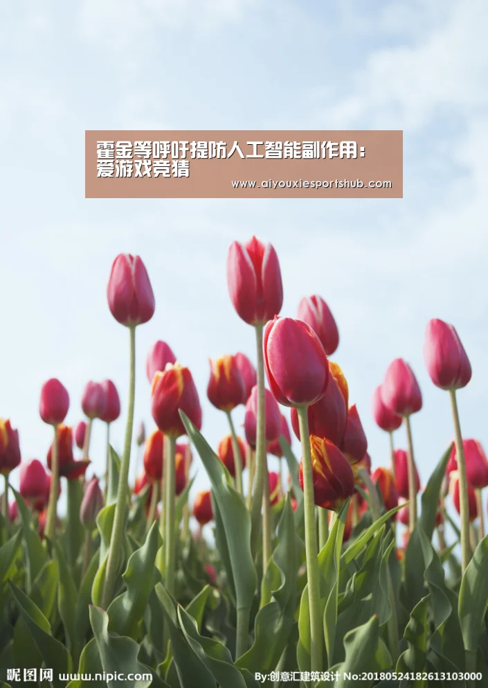 霍金等呼吁提防人工智能副作用:爱游戏竞猜(图3) 爱游戏体育
