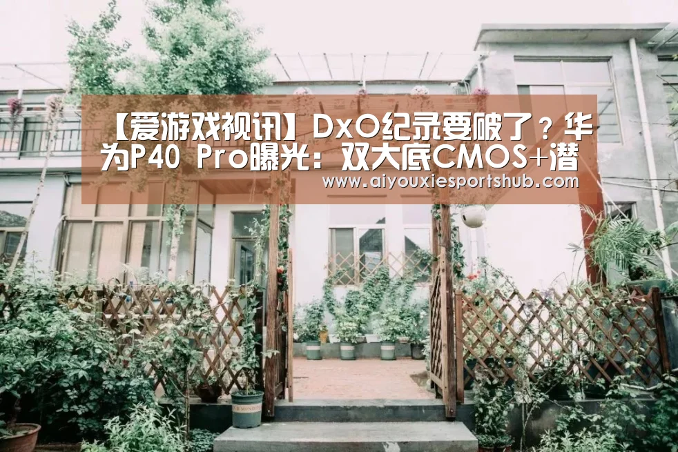 【爱游戏视讯】DxO纪录要破了?华为P40 Pro曝光:双大底CMOS+潜望式变焦(图2) 爱游戏竞猜