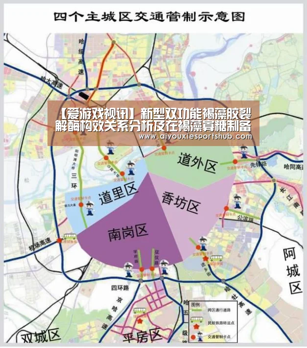 【爱游戏视讯】新型双功能褐藻胶裂解酶构效关系分析及在褐藻寡糖制备中的应用(图3) 爱游戏视讯