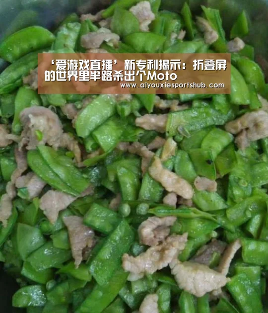 ‘爱游戏直播’新专利揭示:折叠屏的世界里半路杀出个Moto(图1) 爱游戏视讯